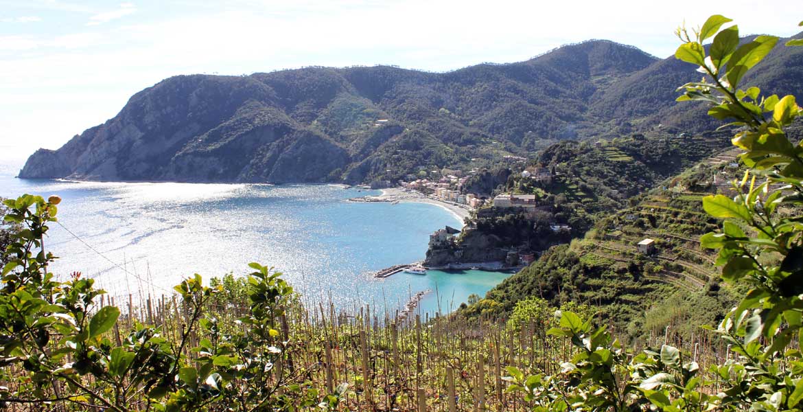 Area Marina Protetta delle Cinque Terre