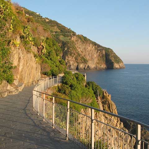 Terrazzamenti tipici delle Cinque Terre