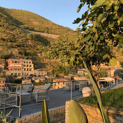 Coltivazioni di viti Cinque Terre