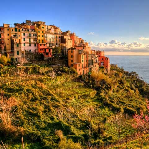 Guida Cinque Terre