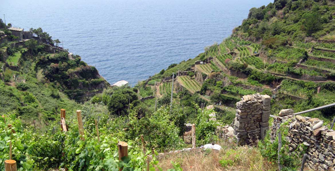 Scopri il Parco delle Cinque Terre